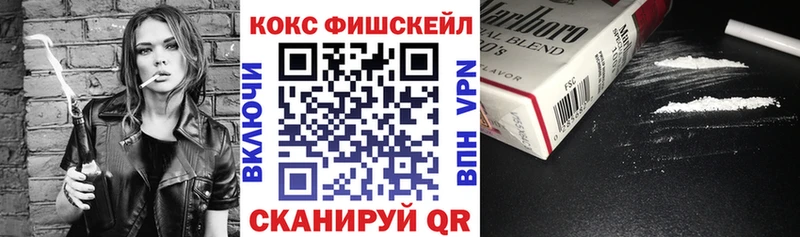 Кокаин Fish Scale  нарко площадка телеграм  Юрга 